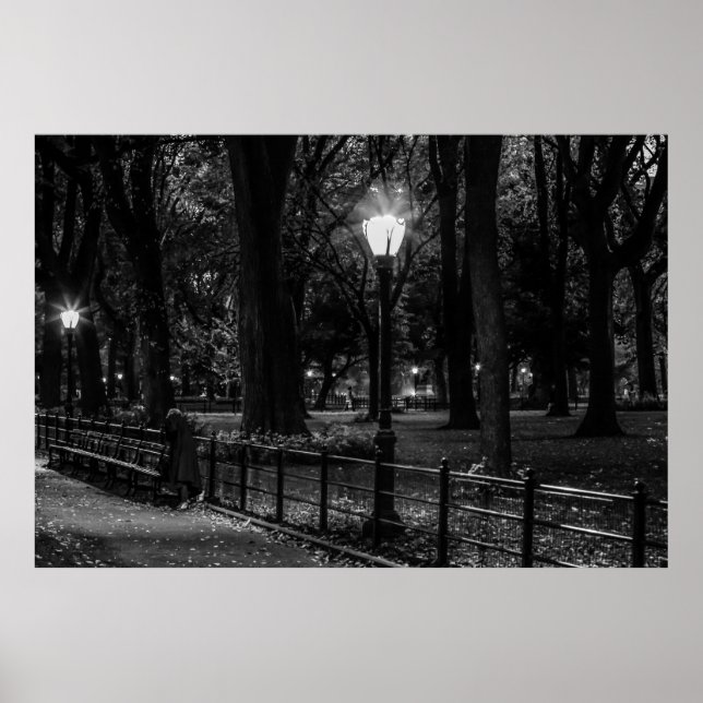 Schwarz-Weiß-Landschaft Foto des Central Park Poster (Vorne)