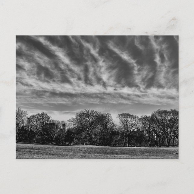Schwarz-Weiß-Landschaft Foto des Central Park Postkarte (Vorderseite)