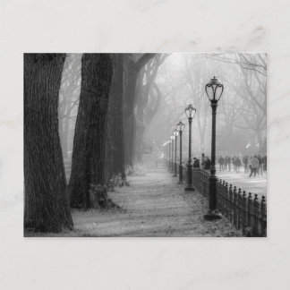 Schwarz-Weiß-Landschaft im Zentralpark Postkarte