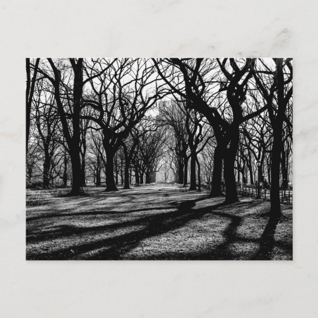 Schwarz-Weiß-Landschaft im Zentralpark Postkarte (Vorderseite)
