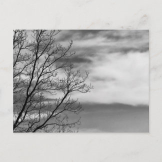Schwarz-Weiß Landschaft Natur Foto Postkarte
