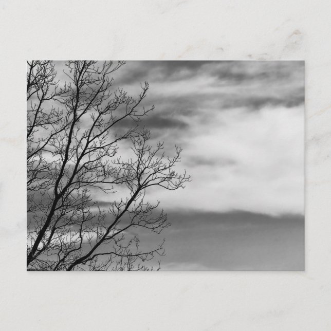Schwarz-Weiß Landschaft Natur Foto Postkarte (Vorderseite)