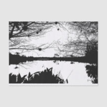 Schwarz-Weiß-Landschaft