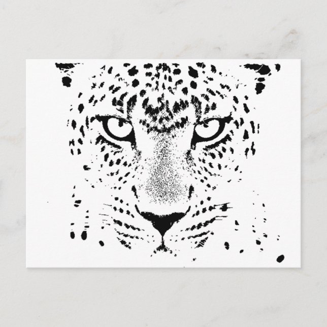 Schwarz-Weiß-Leoparden Postkarte (Vorderseite)