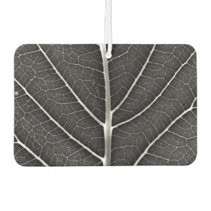 Schwarz-weiß leuchtendes Blatt Nahaufnahme Autolufterfrischer
