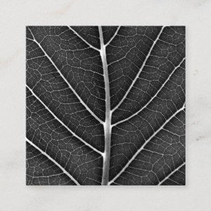 Schwarz-Weiß leuchtendes Blatt Nahaufnahme Quadratische Visitenkarte