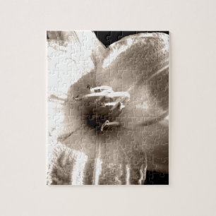 Schwarz-Weiß-Lily-Fotografie