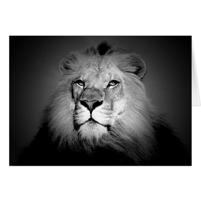 Schwarz-Weiß-Lion (Vorderseite (Horizontal))