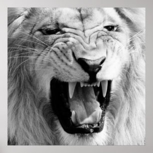 Schwarz-Weiß-Lion Art Poster