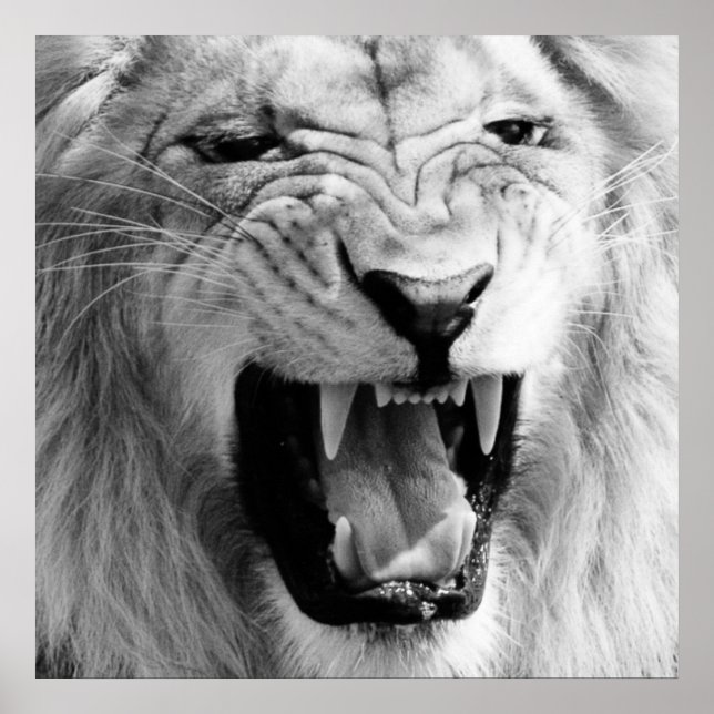 Schwarz-Weiß-Lion Art Poster (Vorne)