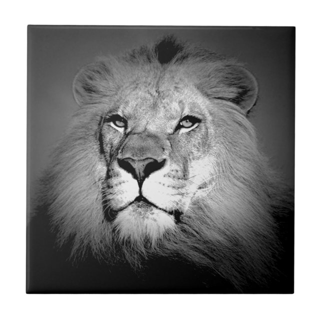 Schwarz-Weiß-Lion Fliese (Vorderseite)