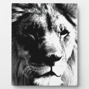 Schwarz-Weiß-Lion Fotoplatte