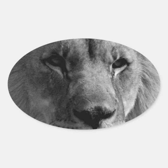 Schwarz-Weiß-Lion Ovaler Aufkleber (Vorderseite)