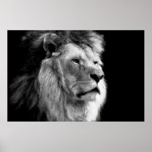 Schwarz-Weiß-Lion Poster