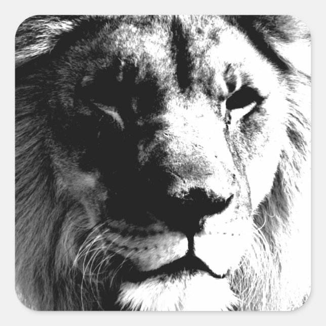 Schwarz-Weiß-Lion Quadratischer Aufkleber (Vorderseite)