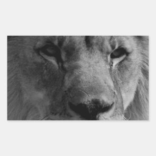 Schwarz-Weiß-Lion Rechteckiger Aufkleber