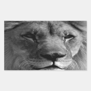Schwarz-Weiß-Lion Rechteckiger Aufkleber