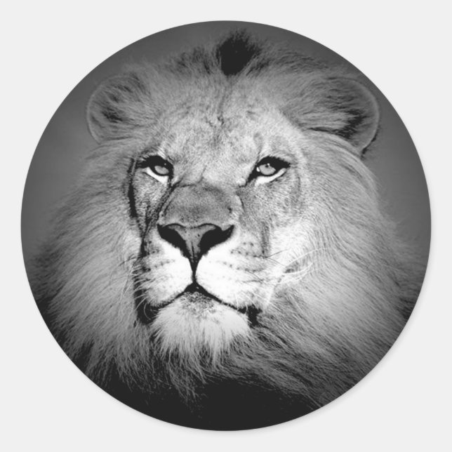 Schwarz-Weiß-Lion Runder Aufkleber (Vorderseite)