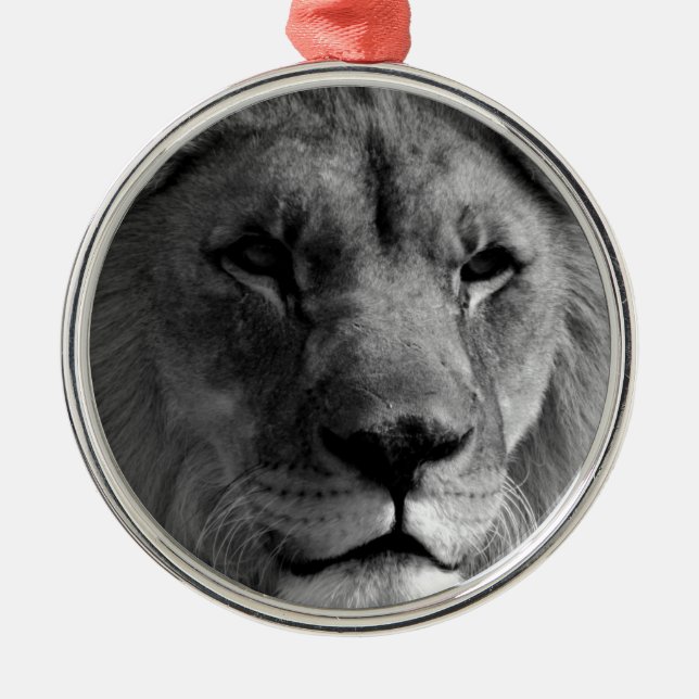 Schwarz-Weiß-Lion Silbernes Ornament (Vorne)