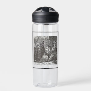 Schwarz-Weiß-Llama Alpaca Andes Trinkflasche