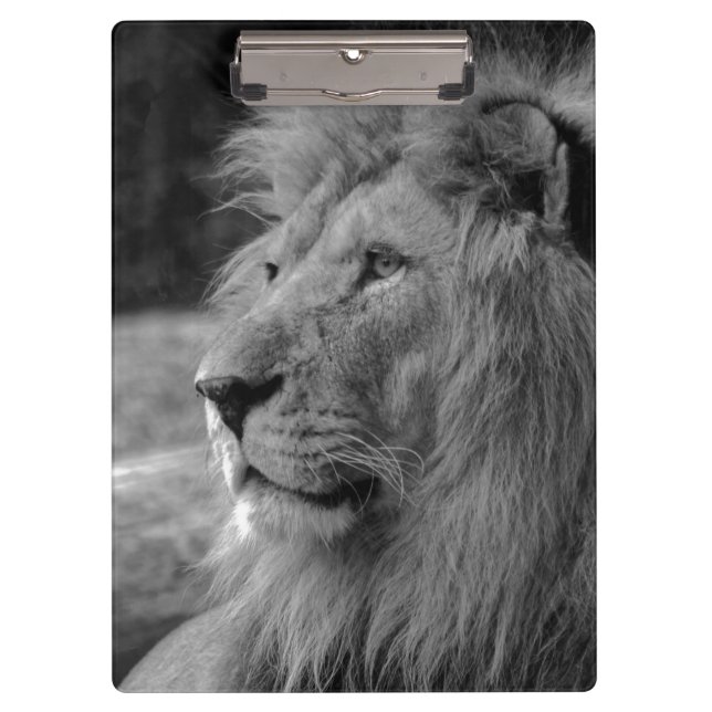 Schwarz-Weiß-Löwe - Wildtier Klemmbrett (Vorderseite)