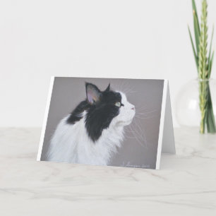 Schwarz-Weiß-Maine-Coon-Katze Karte