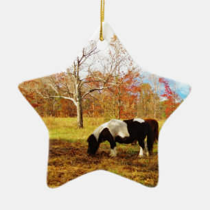 Schwarz-Weiß-Miniaturpony / Pferd Keramikornament