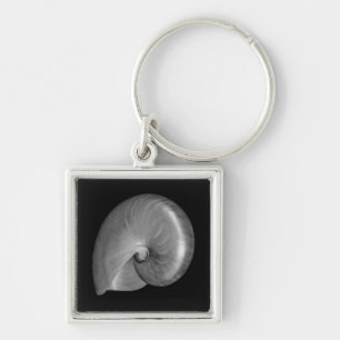 Schwarz-Weiß-Nautilus-Muschel Schlüsselanhänger