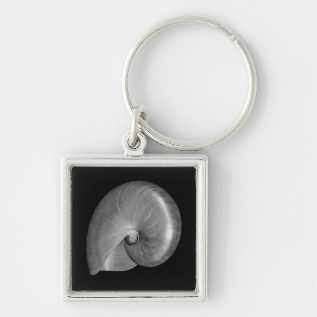 Schwarz-Weiß-Nautilus-Muschel Schlüsselanhänger (Vorne)