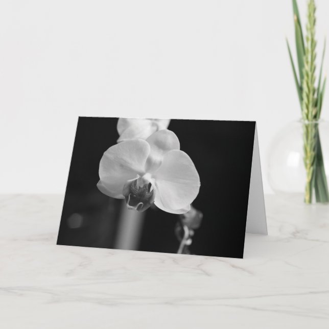 Schwarz-Weiß-Orchid-Foto "Happy Birthday!" Karte (Vorderseite)