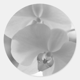 Schwarz-Weiß-Orchideen Runder Aufkleber
