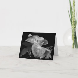 Schwarz-Weiß-Orchideenkarte Karte