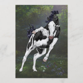 Schwarz-Weiß-Overo-Farbpaint