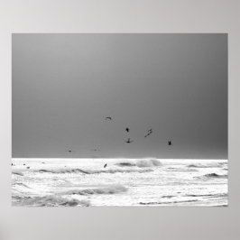 Schwarz-Weiß-Ozean-Horizont & Braune Pelikane 16x2 Poster