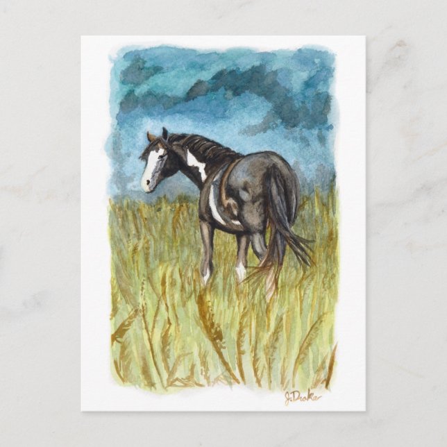 Schwarz-Weiß-Paint Horst Wasserfarbe Kunst, Dichtu Postkarte (Vorderseite)