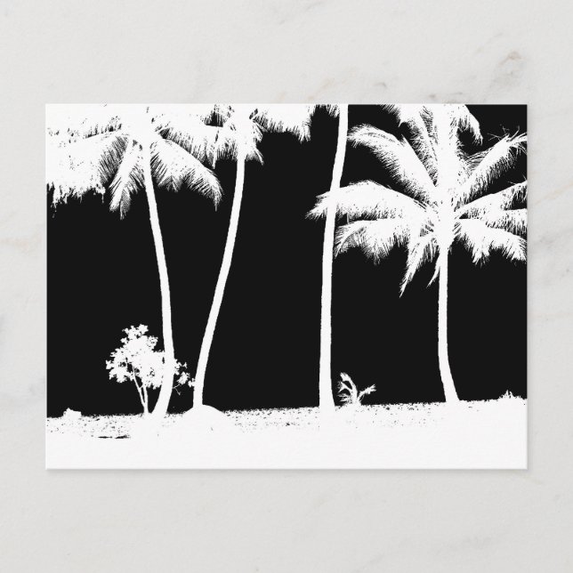 Schwarz-Weiß-Palmen Postkarte (Vorderseite)
