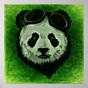 Schwarz-Weiß-Panda Pandas-Bär Poster
