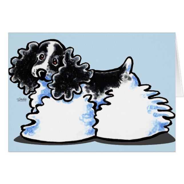 Schwarz-weiß Parti Cocker Spaniel (Vorderseite (Horizontal))