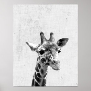 Schwarz-Weiß-Peekaboo-Giraffe-Minimalist-Nursery Poster