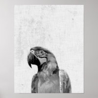 Schwarz-Weiß-Peekaboo Parrot Minimalistisches Kind