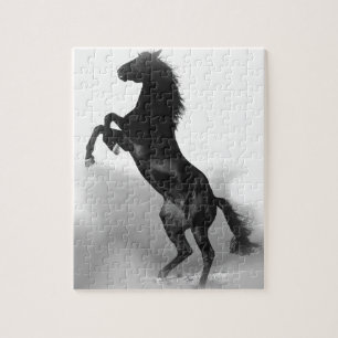 Schwarz Weiß Pferd