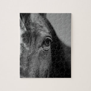 Schwarz Weiß Pferd Auge Kunstwerk
