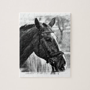Schwarz-Weiß-Pferd-Skizze
