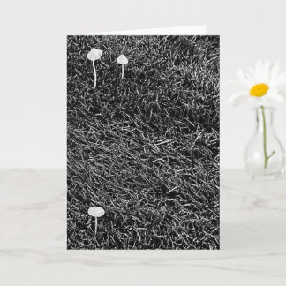 Schwarz-Weiß-Pilze im Gras-Foto Karte