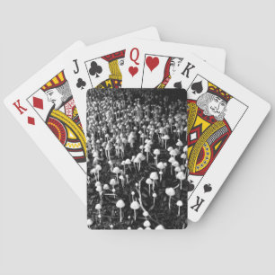 Schwarz-Weiß-Pilzkolonie-Foto Spielkarten