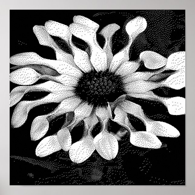 Schwarz-Weiß-Pixelart Poster (Vorne)