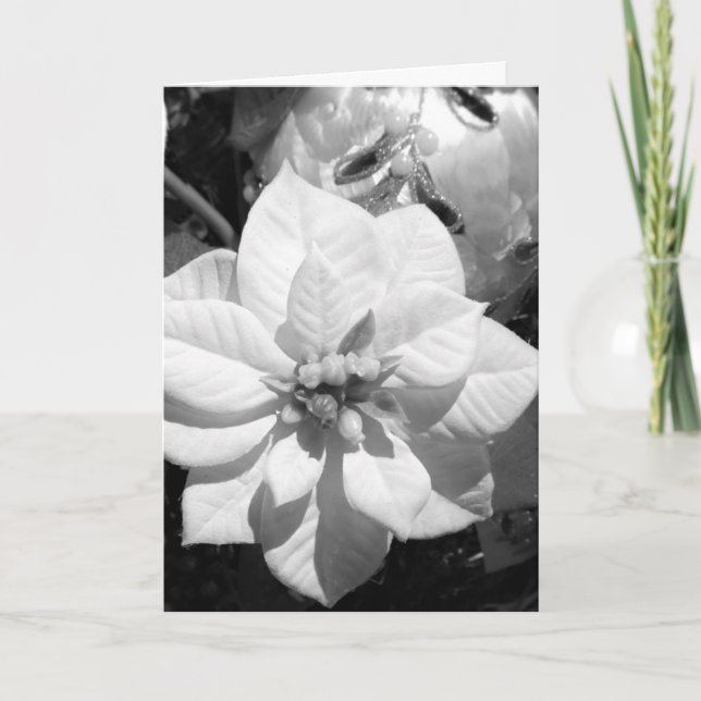 Schwarz-Weiß-Poinsettia-Weihnachtskarte Feiertagskarte (Vorderseite)