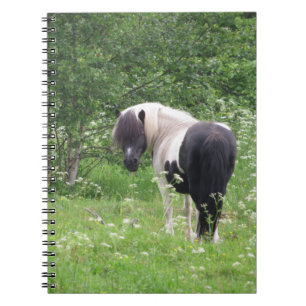 Schwarz-Weiß-Pony in Gras und Blume Notizblock