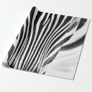 Schwarz-Weiß-Porträt eines Zeb Geschenkpapier