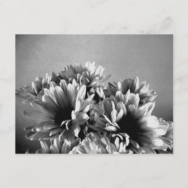 Schwarz-Weiß-Postkarte Postkarte (Vorderseite)